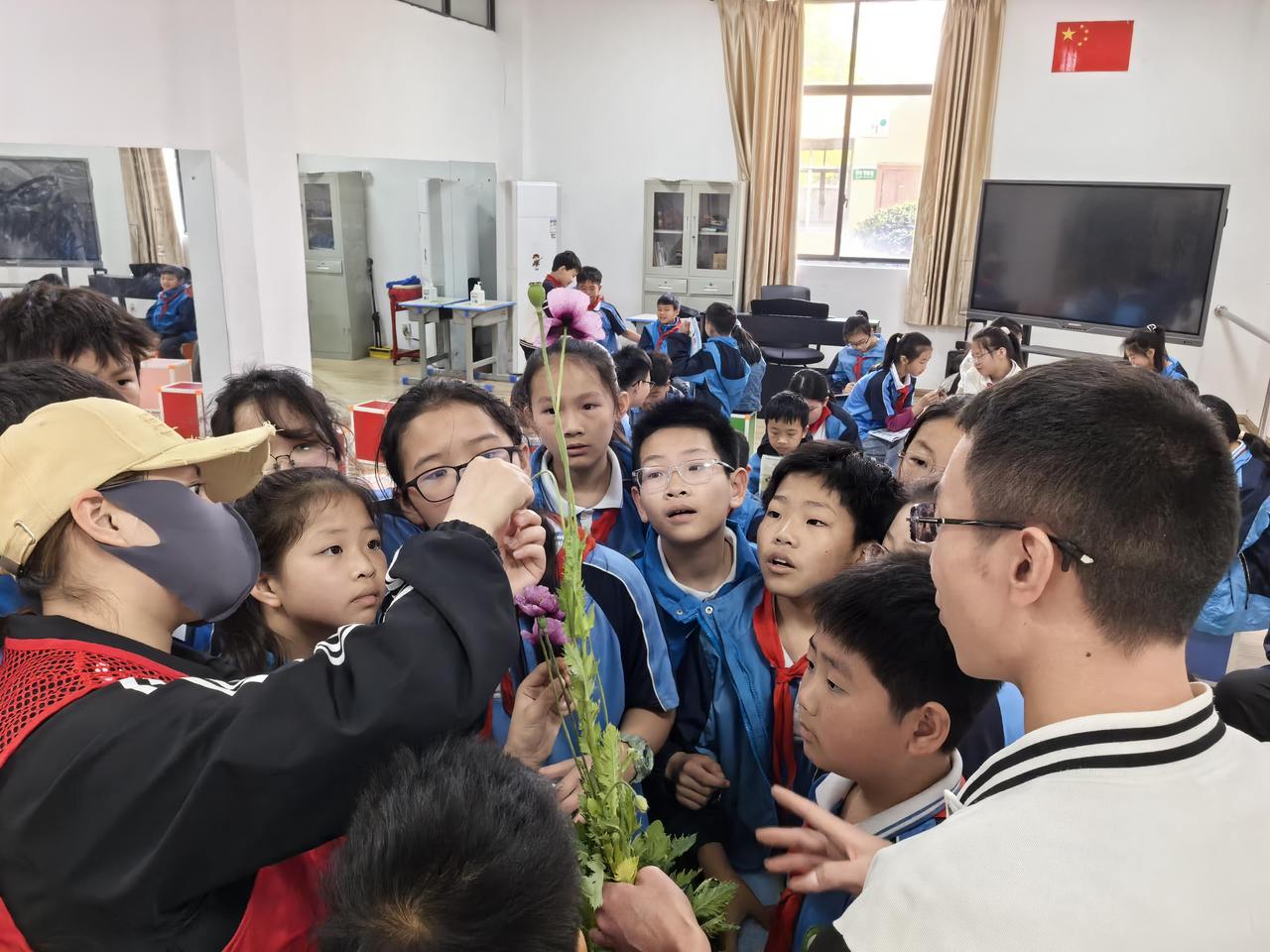 全民参与禁种铲毒
