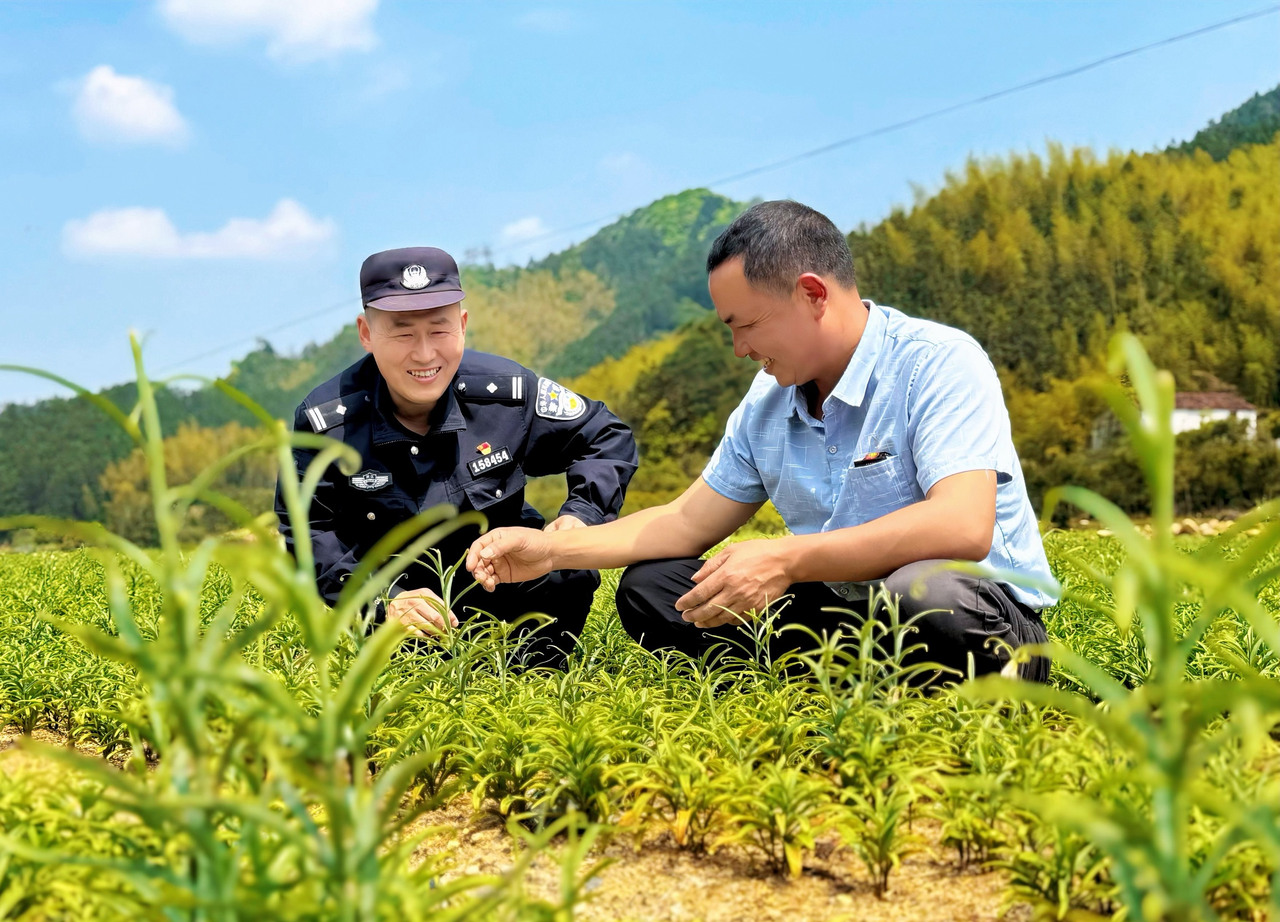 “项目+”全周期护航