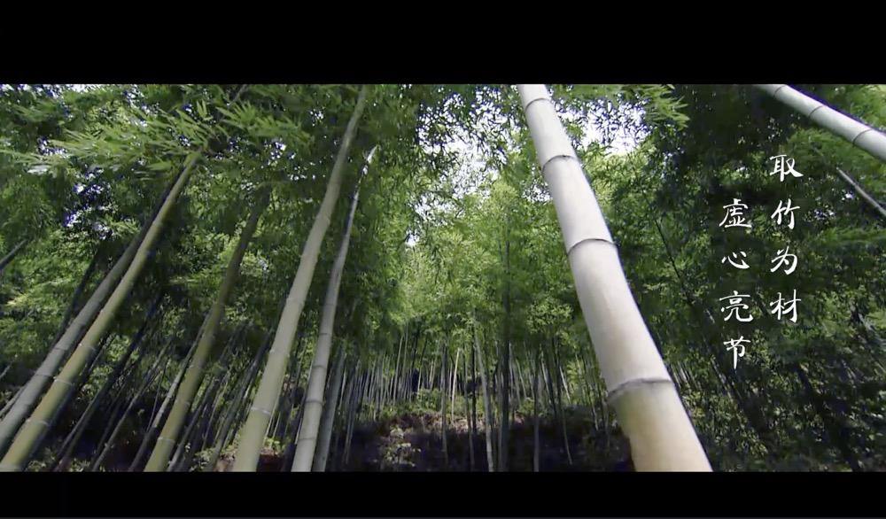 许仙借给白素贞的那把手工纸伞，藏着这些秘密……